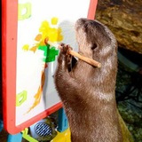 WI Artists & Creatives!