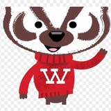 Madison, WI Area Furs