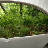 Wisconsin Furry Camping