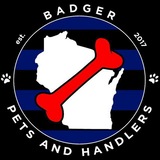 Badger Pets and Handlers