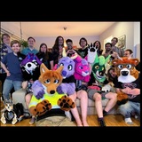 Pawsitivity Pack Furmeets